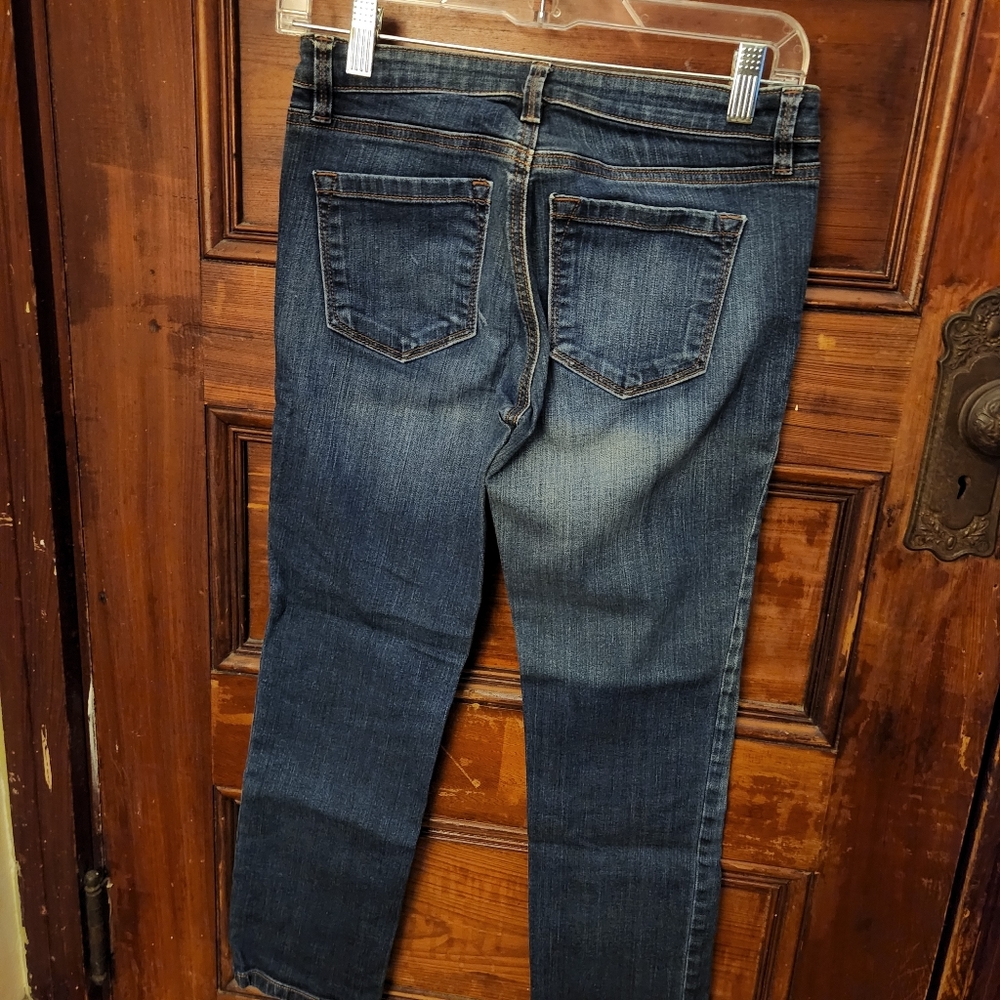 Size 26/2P LOFT jeans